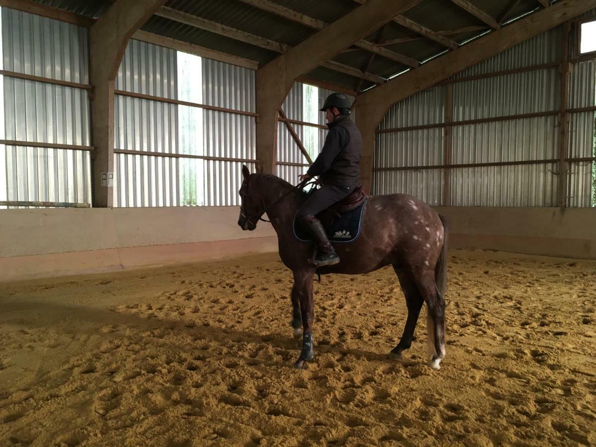 Ferme Gite Equestre En Charente Confolens Luaran gambar